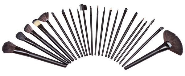 Pro Artisan 25 Piece Brush Set- Black